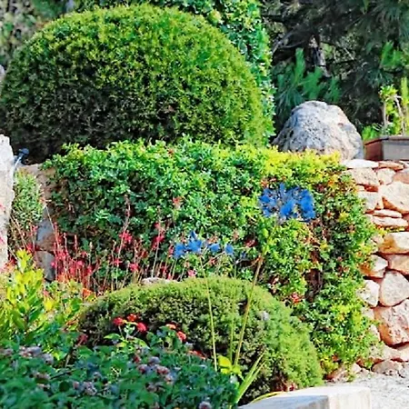 Fiori Di Santa Giulia Porto-Vecchio (Corsica)